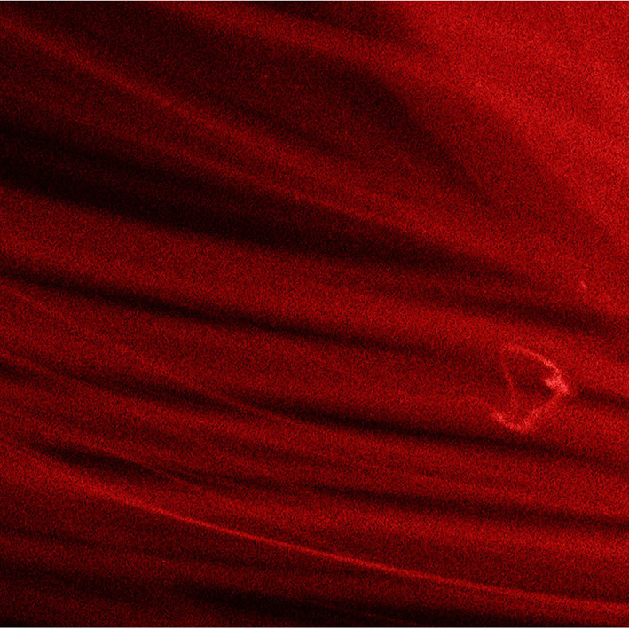 Henry Landers Kunst Serie Titel - Anthropologie des Abschieds