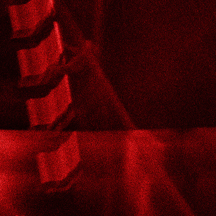 Henry Landers Kunst Serie Titel - Anthropologie des Abschieds