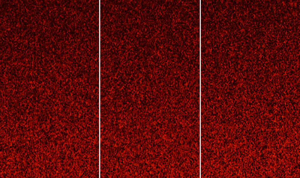 Henry Landers Kunst Serie Titel - DIE LEERE: ein Labyrinth