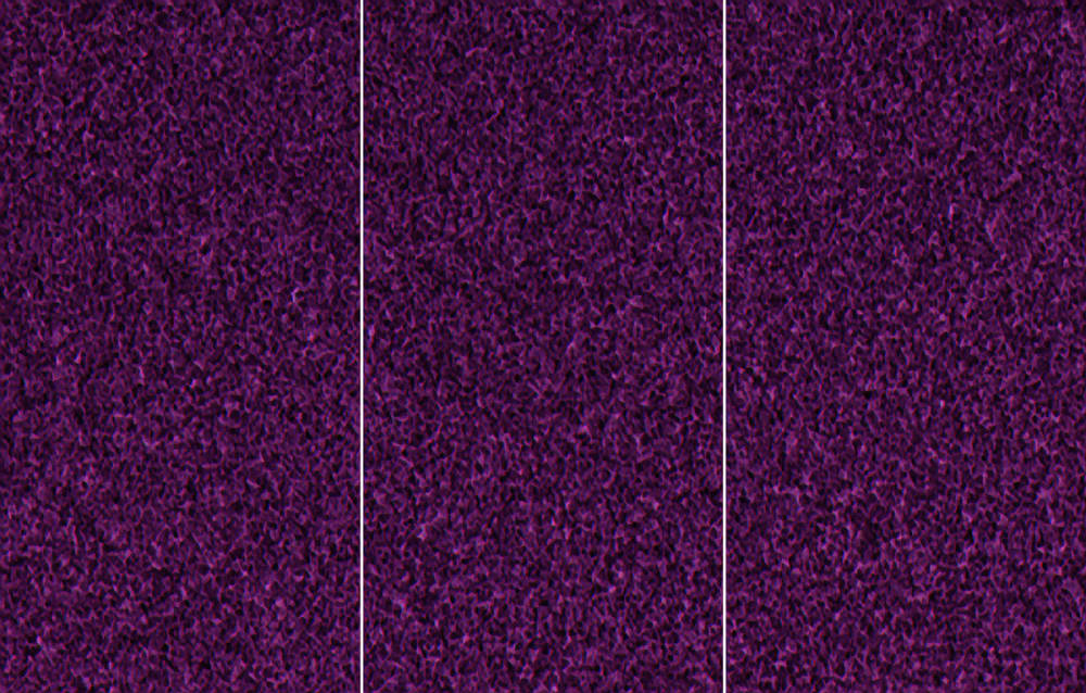 Henry Landers Kunst Serie Titel - DIE LEERE: ein Labyrinth