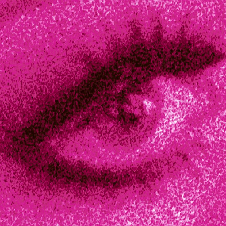 Henry Landers Kunst Video installation Titel Das Auge