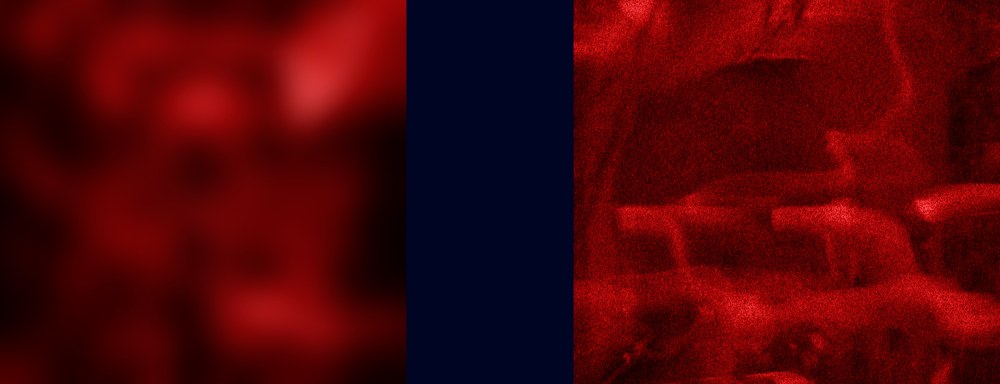 Henry Landers Kunst Serie Titel - Mona Lisa lÄchelt