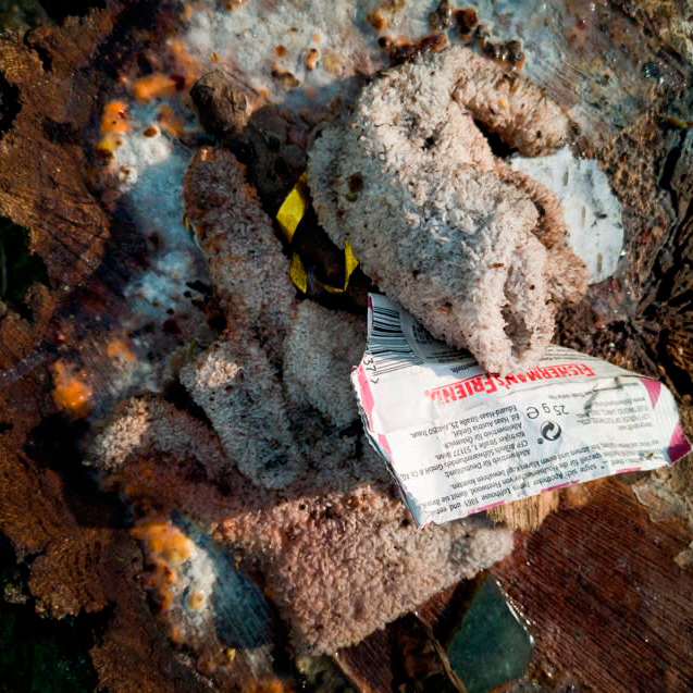 Henry Landers Fotografie Serie Titel TIMES-Trilogy Part 2