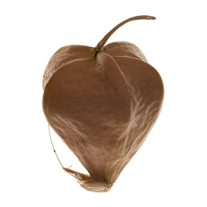 Henry Landers Fotografieserie Titel Über die Leere