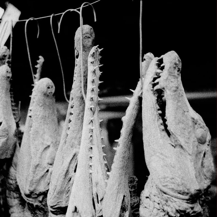 Henry Landers Fotografie Serie Titel Mannigfaltigkeit V, Wie sich Liebe anfühlt?