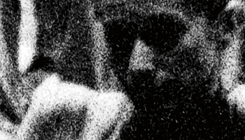 Henry Landers Kunst Serie Titel - Der Schwarm