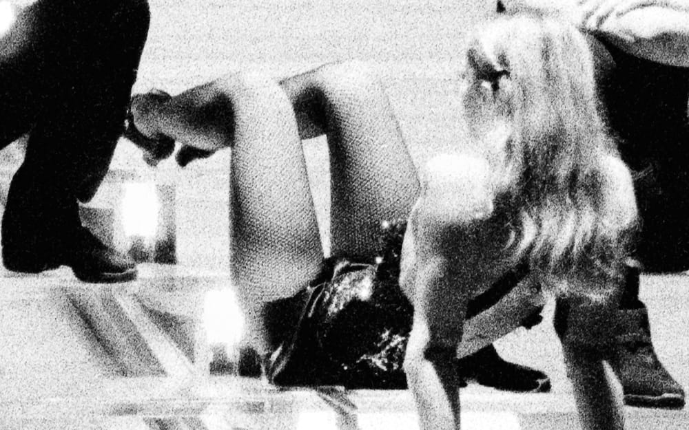 Henry Landers Kunst Serie Titel - Der Schwarm