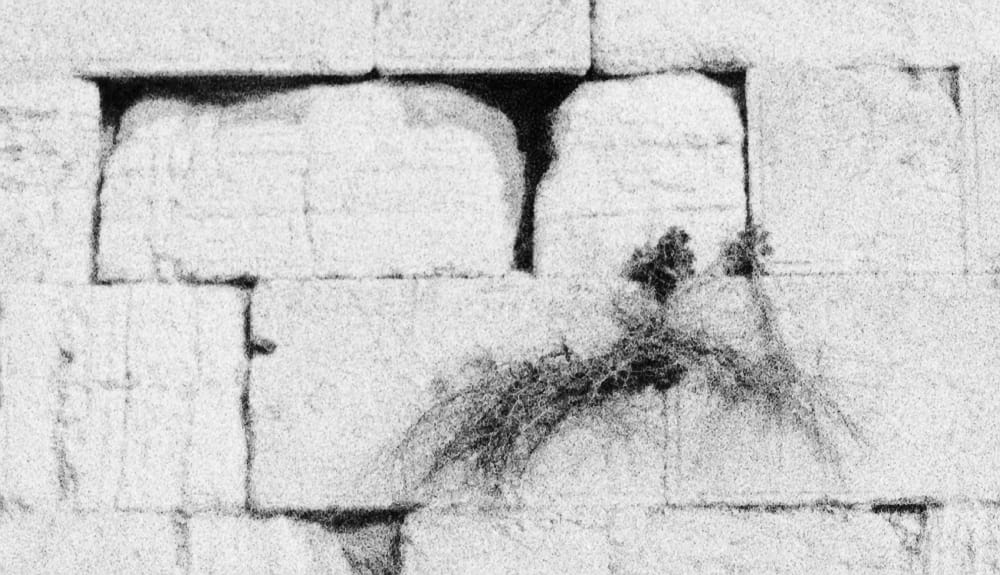 Henry Landers Kunst Serie Titel - Three Times 15 Shades of God